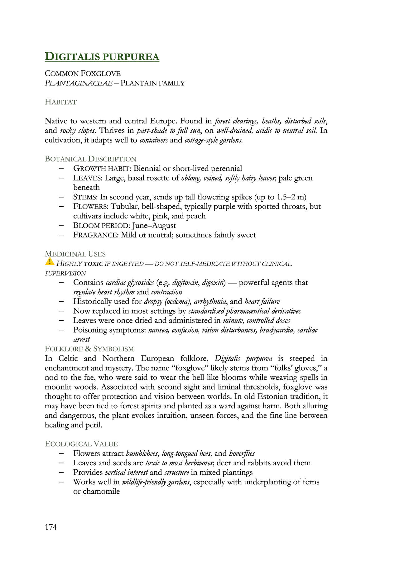 Spread from “In Green Ink and Silence” featuring Foxglove’s botanical description, culinary and medicinal uses, folklore and symbolism.