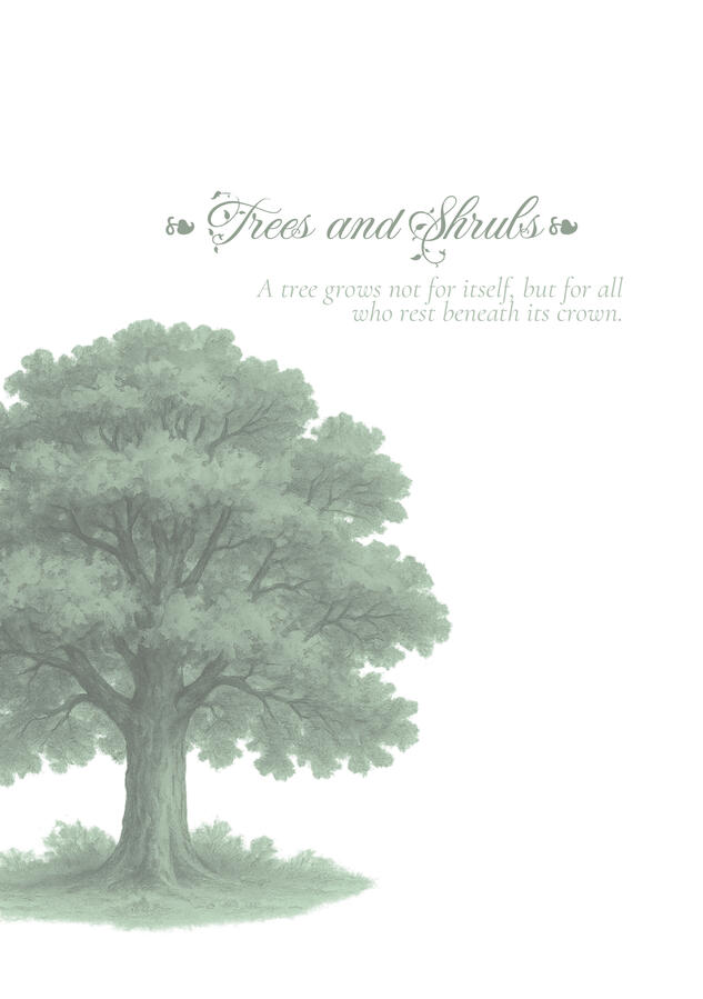 Untitled Opening page for “Trees and Shrubs” chapter from “In Green Ink and Silence” featuring a vintage-style watercolour illustration of an English oak.