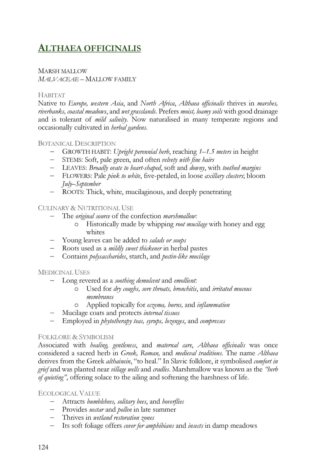 Spread from “In Green Ink and Silence” featuring Marsh Mallow's botanical description, culinary and medicinal uses, folklore and symbolism.